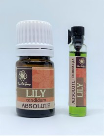 LILY ABSOLUTE OIL