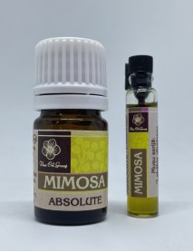 MIMOSA ABSOLUTE  OIL